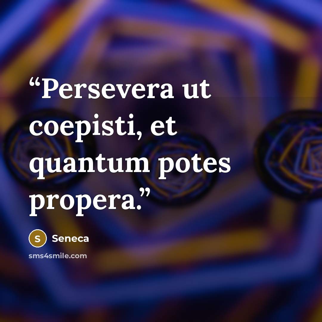 “Persevera ut coepisti, et quantum potes propera.” quote by Seneca