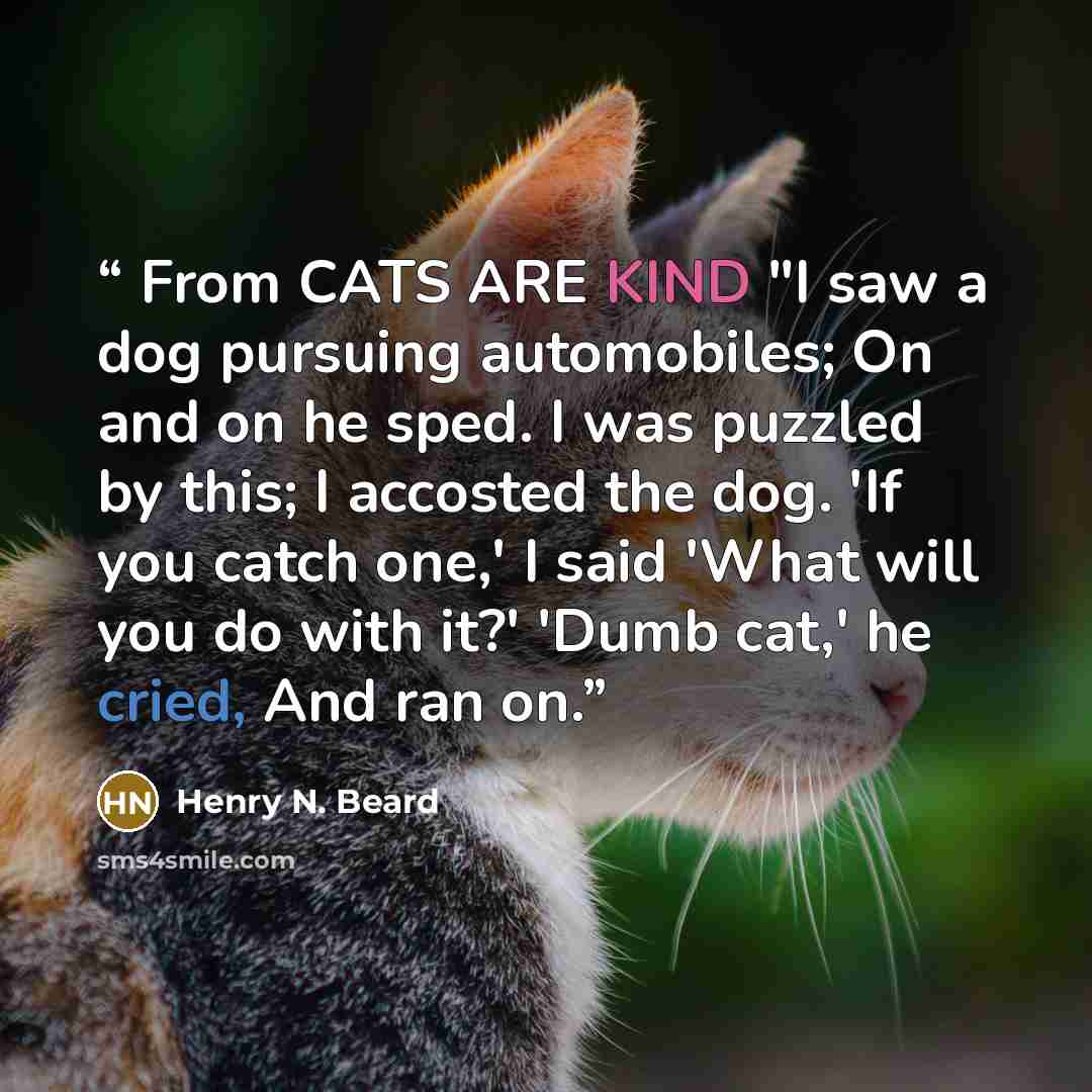 “From CATS ARE KIND "I saw a dog pursuing automobiles; On and on he sped. I was puzzled by this; I accosted the dog. 'If you catch one,' I said 'What will you do with it?' 'Dumb cat,' he cried, And ran on.” quote by Henry N. Beard
