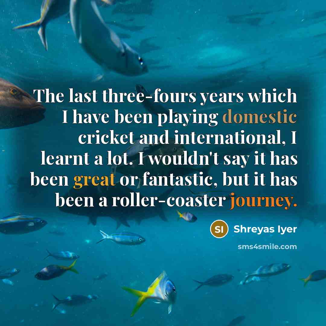 “The last three-fours years which I have been playing domestic cricket and international, I learnt a lot. I wouldn't say it has been great or fantastic, but it has been a roller-coaster journey.” quote by Shreyas Iyer