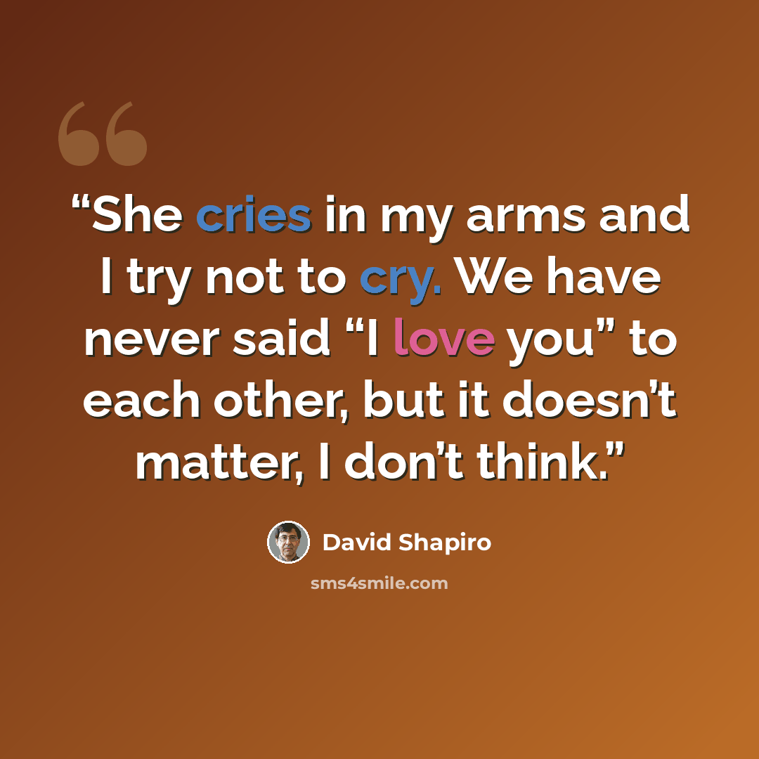 “She cries in my arms and I try not to cry. We have never said “I love you” to each other, but it doesn’t matter, I don’t think.” quote by David Shapiro