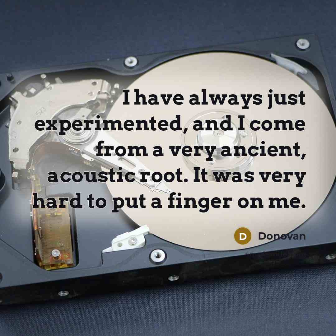 “I have always just experimented, and I come from a very ancient, acoustic root. It was very hard to put a finger on me.” quote by Donovan