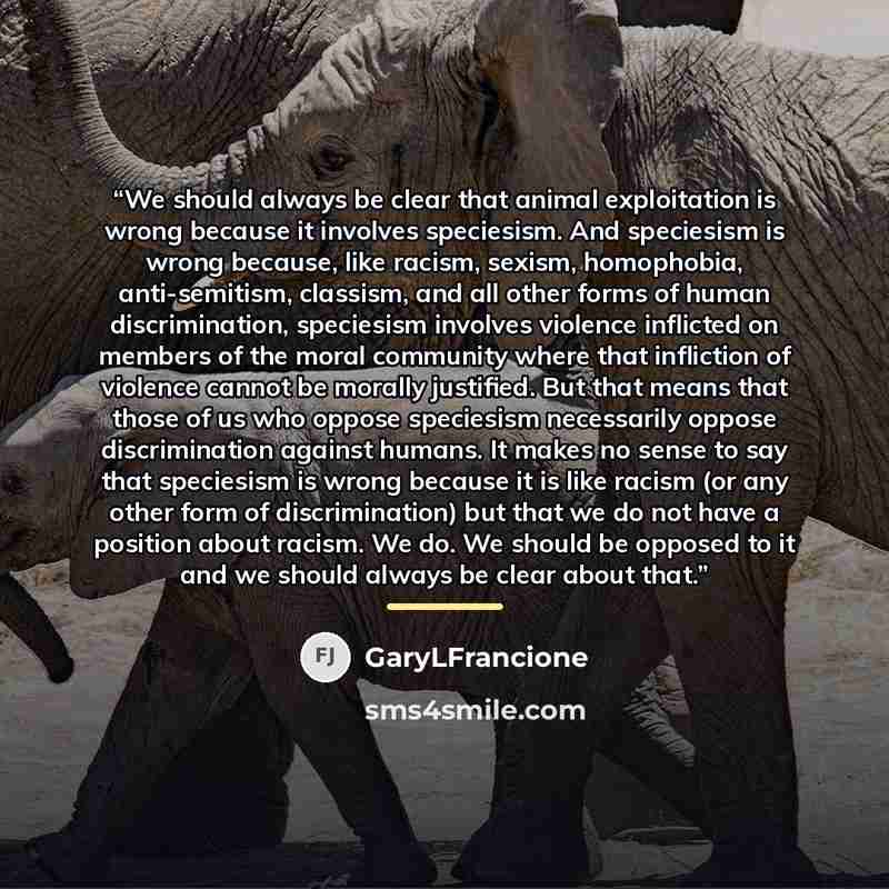 “We should always be clear that animal exploitation is wrong because it involves speciesism. And speciesism is wrong because, like racism, sexism, homophobia, anti-semitism, classism, and all other forms of human discrimination, speciesism involves violence inflicted on members of the moral…” quote by GaryLFrancione