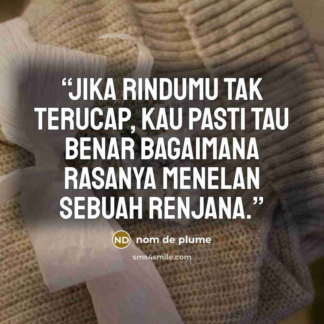 “Jika rindumu tak terucap, kau pasti tau benar bagaimana rasanya menelan sebuah renjana.” quote by nom de plume