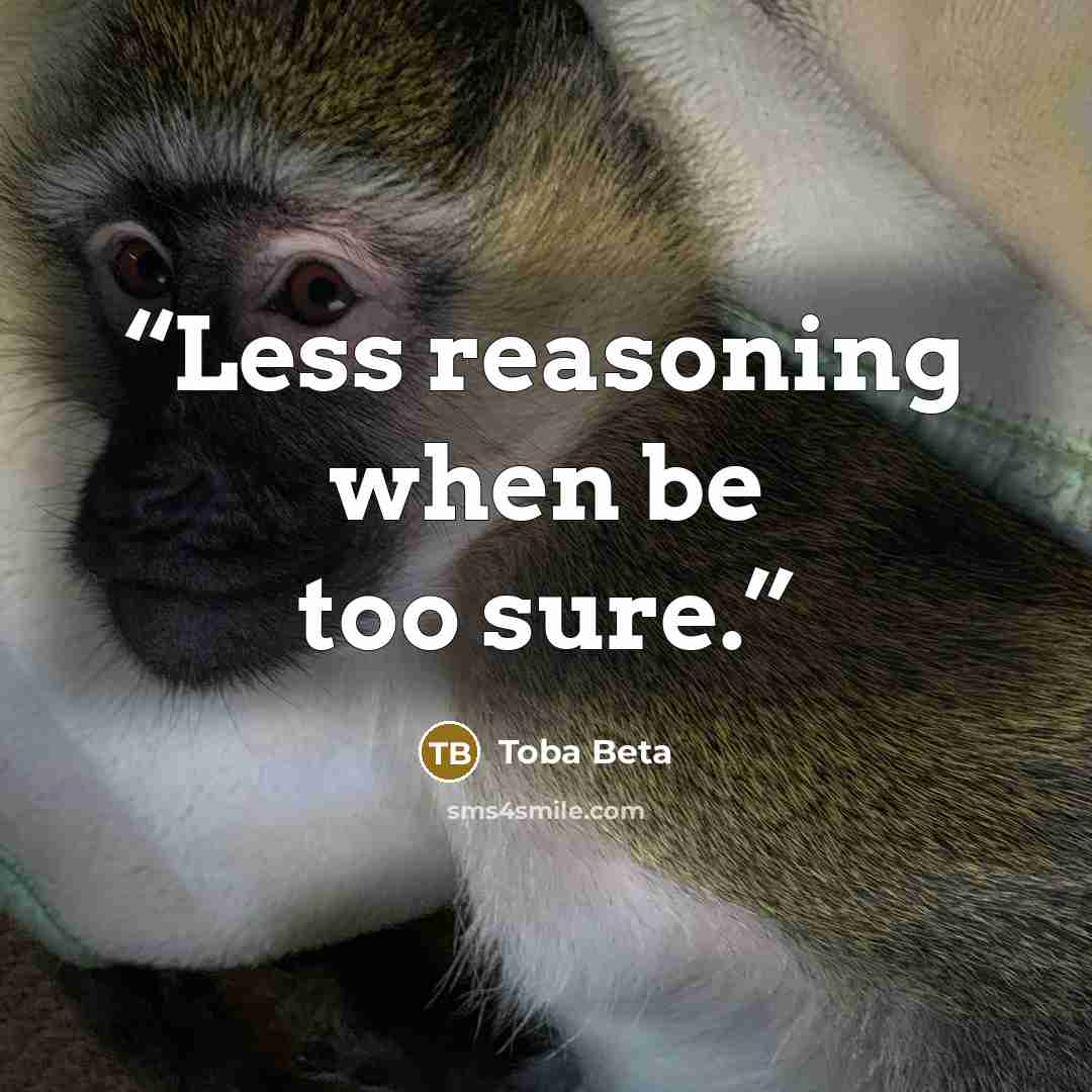 “Less reasoning when be too sure.” quote by Toba Beta