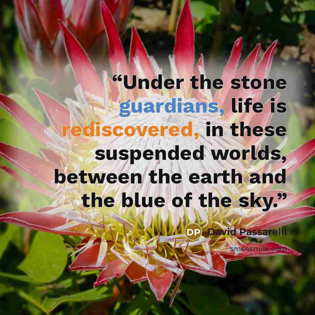 “Under the stone guardians, life is rediscovered, in these suspended worlds, between the earth and the blue of the sky.” quote by David Passarelli