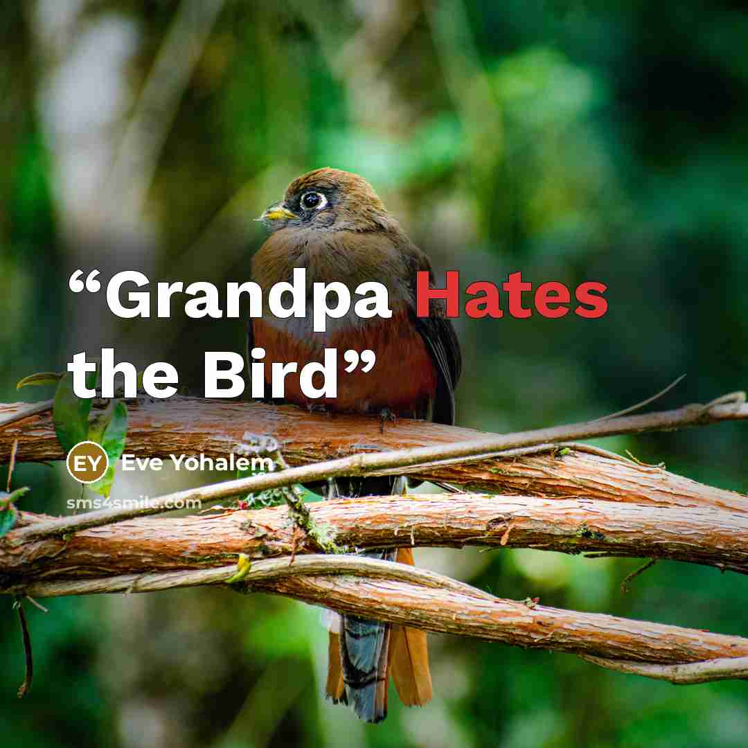 “Grandpa Hates the Bird” quote by Eve Yohalem