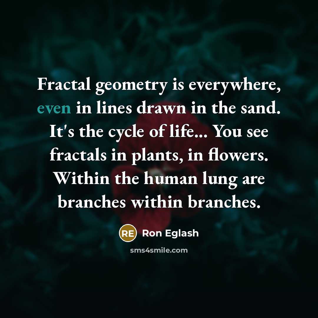 “Fractal geometry is everywhere, even in lines drawn in the sand. It's the cycle of life... You see fractals in plants, in flowers. Within the human lung are branches within branches.” quote by Ron Eglash