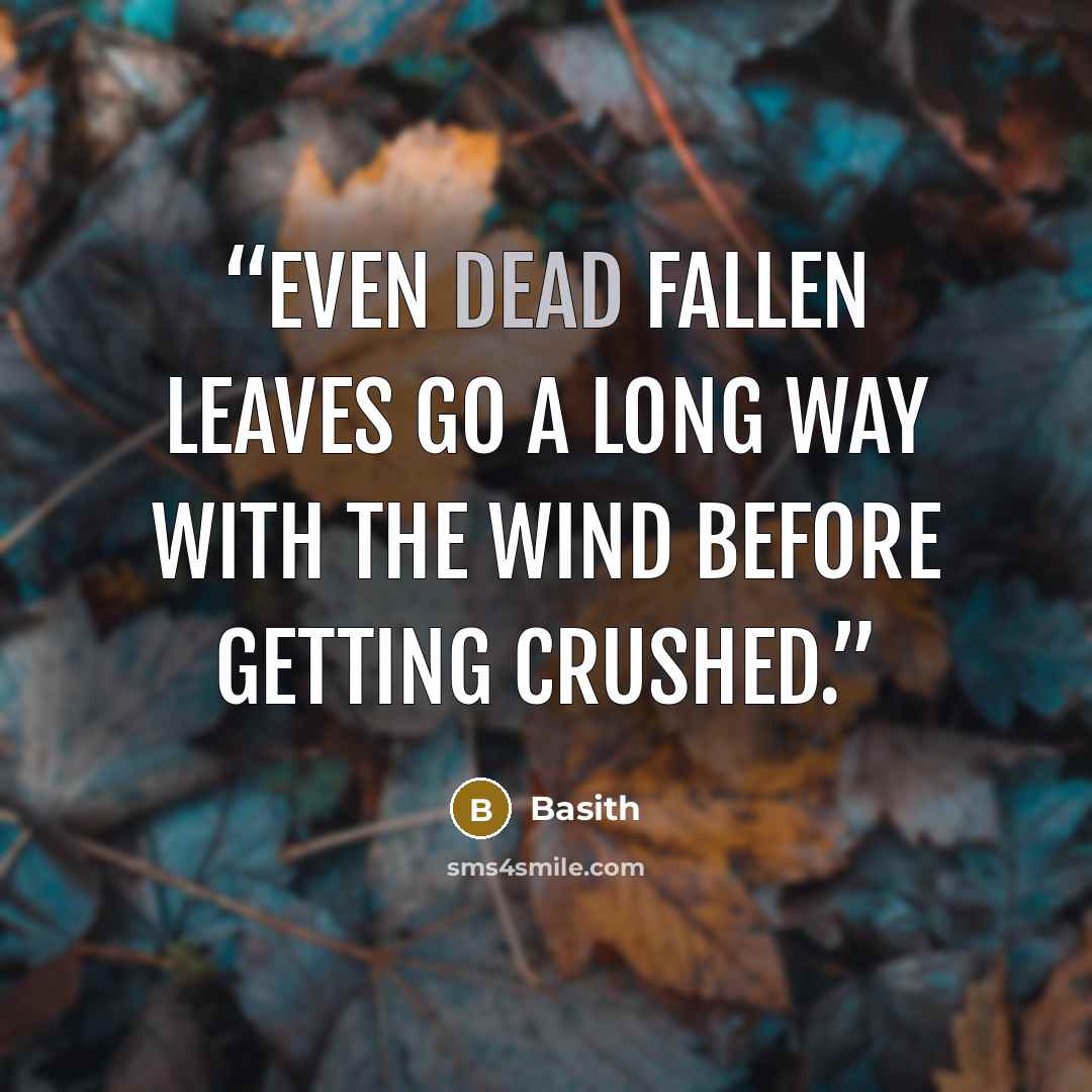 “Even dead fallen leaves go a long way with the wind before getting crushed.” quote by Basith