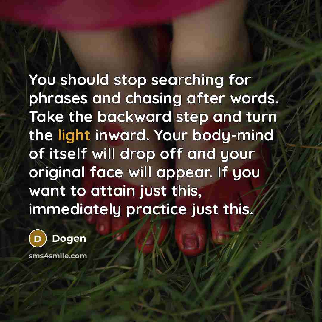 “You should stop searching for phrases and chasing after words. Take the backward step and turn the light inward. Your body-mind of itself will drop off and your original face will appear. If you want to attain just this, immediately practice just this.” quote by Dogen