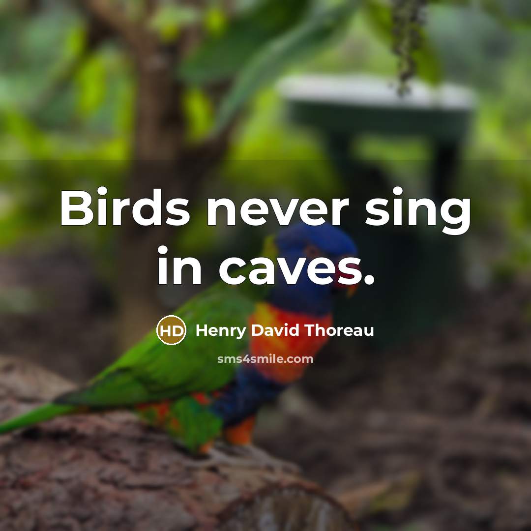 “Birds never sing in caves.” quote by Henry David Thoreau
