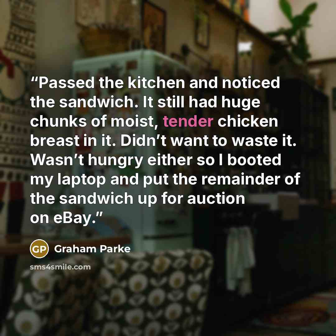 “Passed the kitchen and noticed the sandwich. It still had huge chunks of moist, tender chicken breast in it. Didn’t want to waste it. Wasn’t hungry either so I booted my laptop and put the remainder of the sandwich up for auction on eBay.” quote by Graham Parke