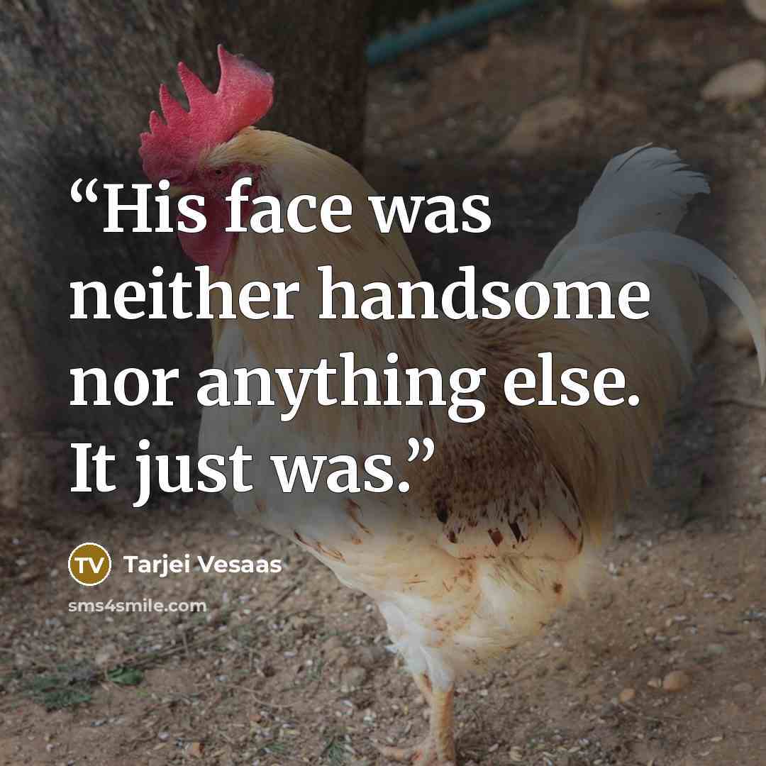 “His face was neither handsome nor anything else. It just was.” quote by Tarjei Vesaas
