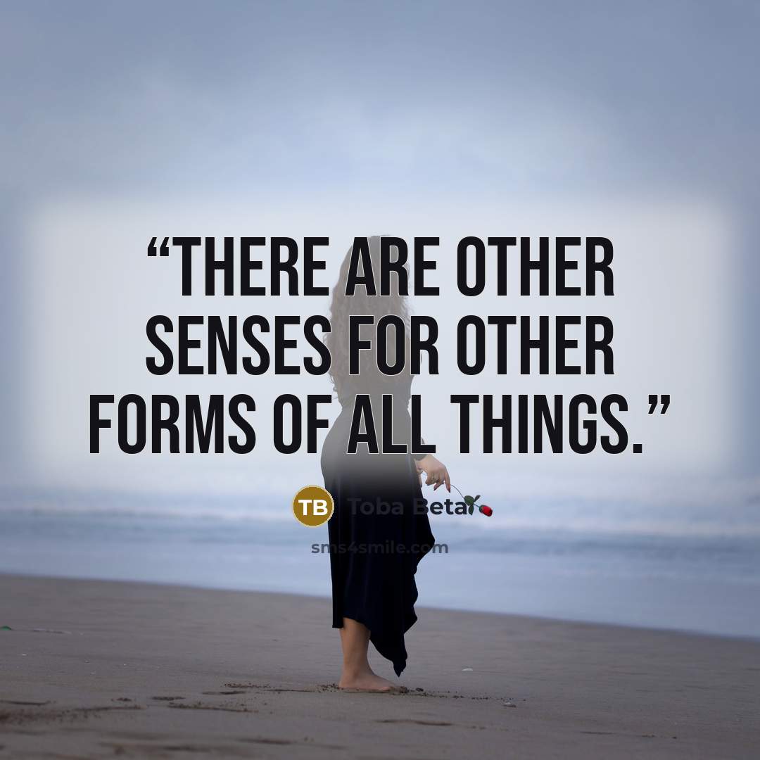“There are other senses for other forms of all things.” quote by Toba Beta