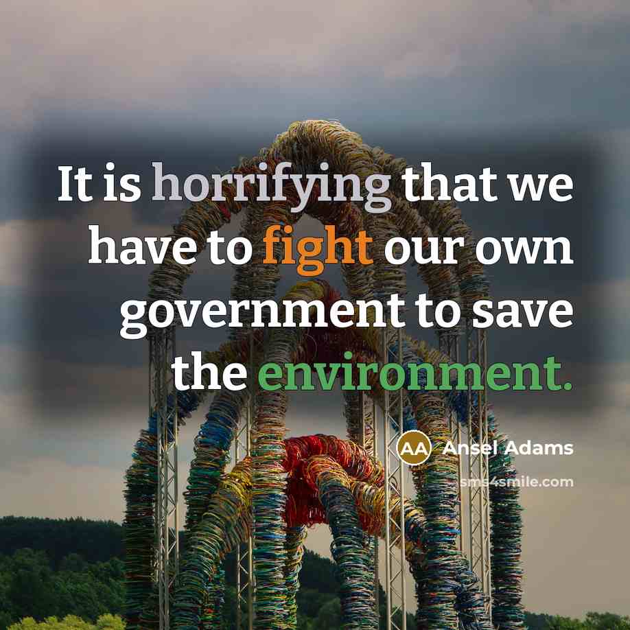 “It is horrifying that we have to fight our own government to save the environment.” quote by Ansel Adams