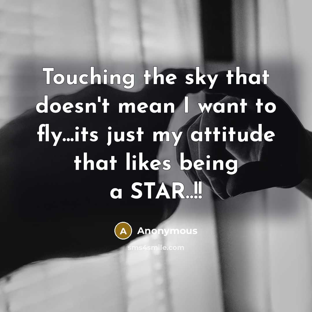 “Touching the sky that doesn't mean I want to fly...its just my attitude that likes being a STAR..!!” quote by Anonymous