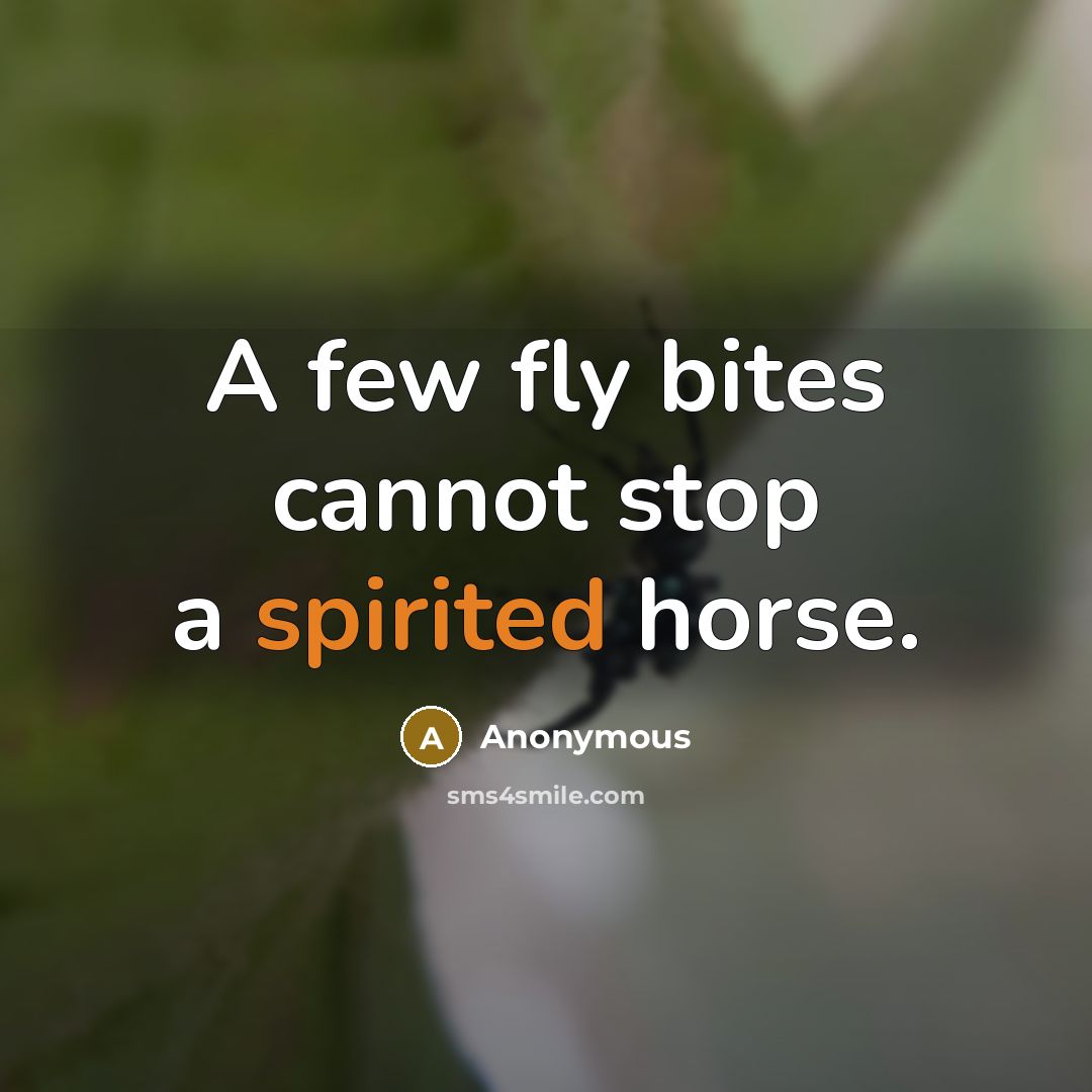 “A few fly bites cannot stop a spirited horse.” quote by Anonymous