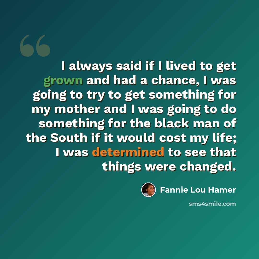 “I always said if I lived to get grown and had a chance, I was going to try to get something for my mother and I was going to do something for the black man of the South if it would cost my life; I was determined to see that things were changed.” quote by Fannie Lou Hamer