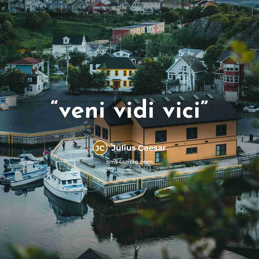 “veni vidi vici” quote by Julius Caesar