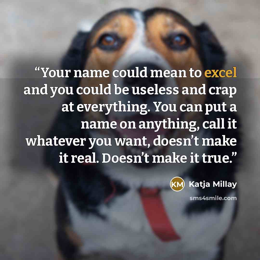 “Your name could mean to excel and you could be useless and crap at everything. You can put a name on anything, call it whatever you want, doesn’t make it real. Doesn’t make it true.” quote by Katja Millay