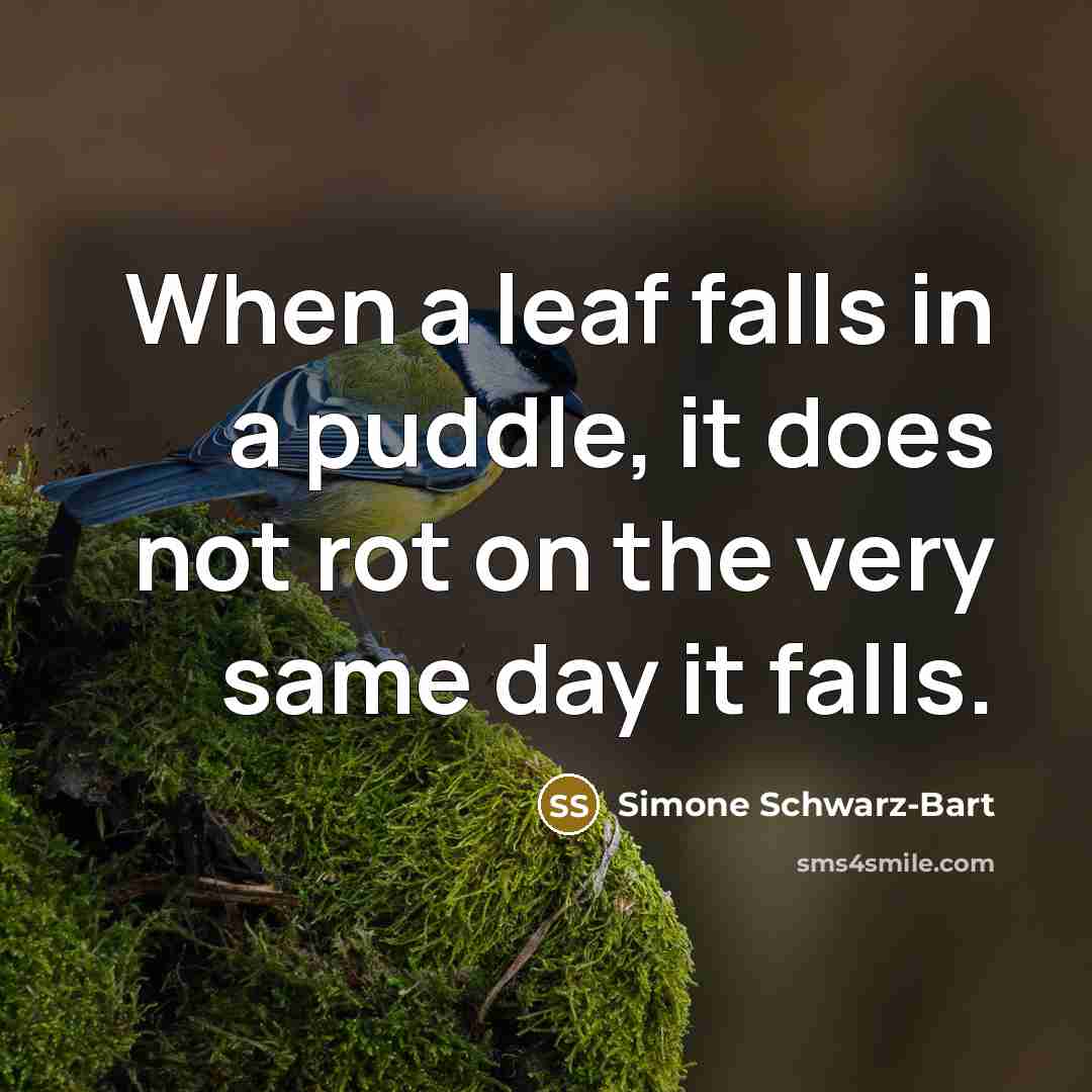 “When a leaf falls in a puddle, it does not rot on the very same day it falls.” quote by Simone Schwarz-Bart