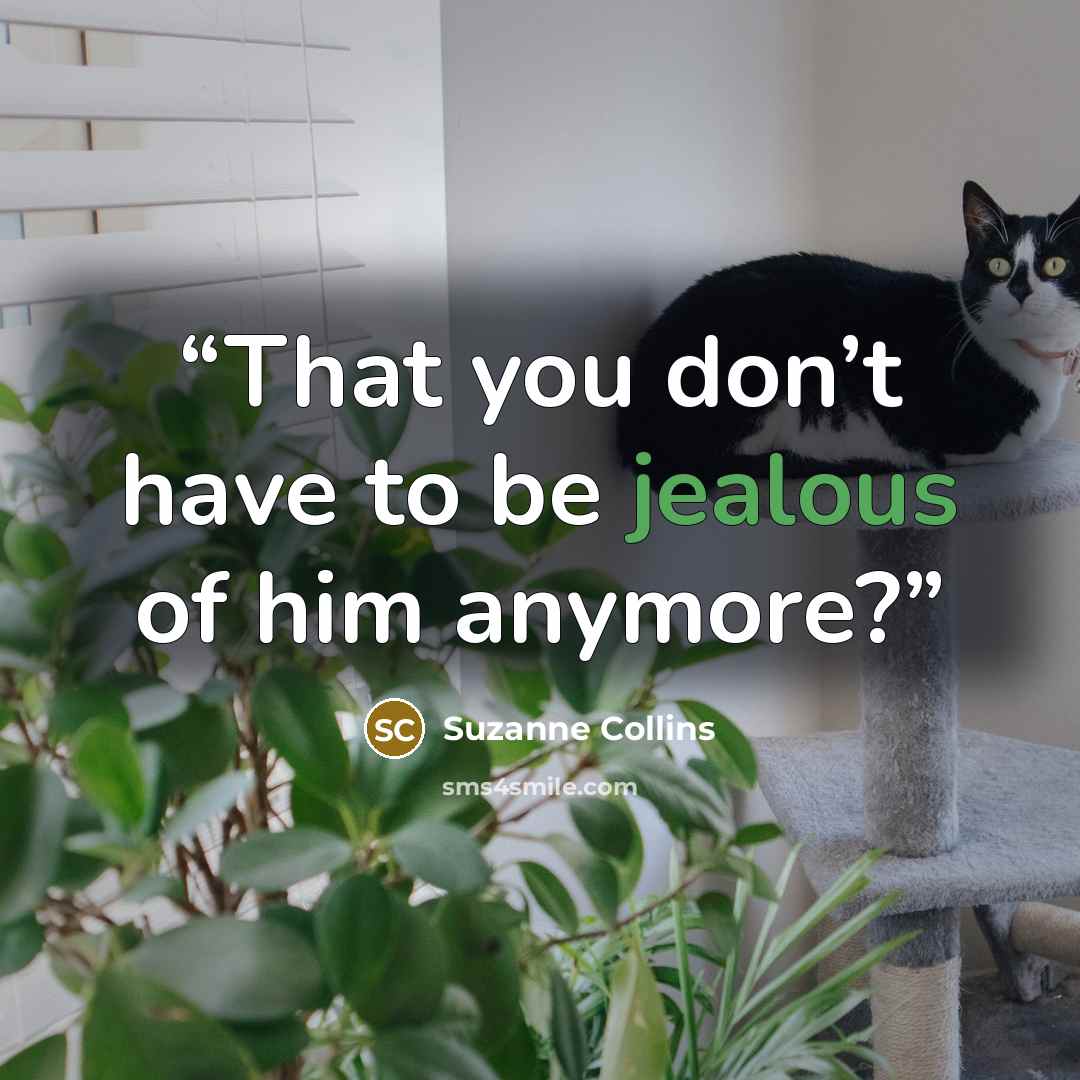“That you don’t have to be jealous of him anymore?” quote by Suzanne Collins