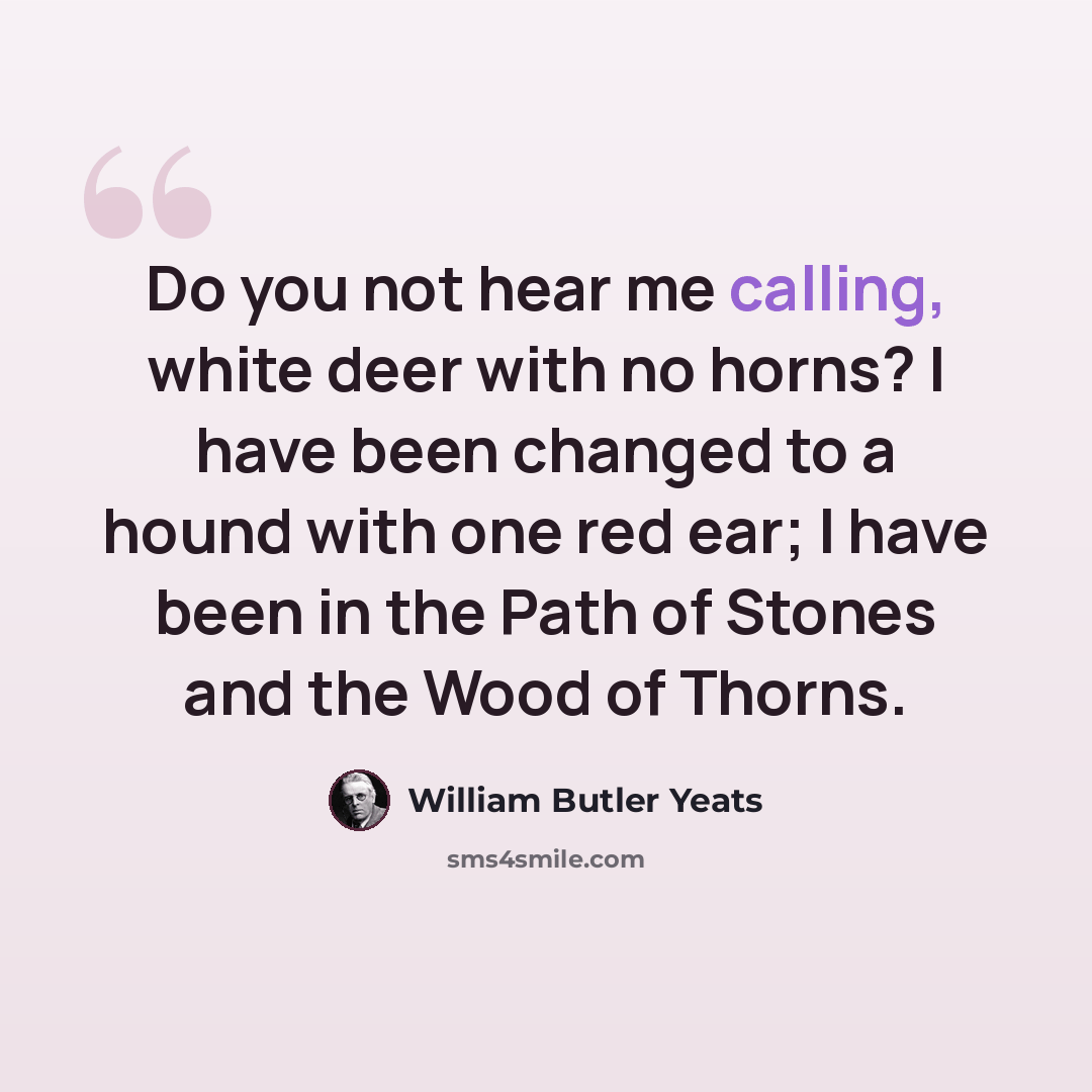 “Do you not hear me calling, white deer with no horns? I have been changed to a hound with one red ear; I have been in the Path of Stones and the Wood of Thorns.” quote by William Butler Yeats