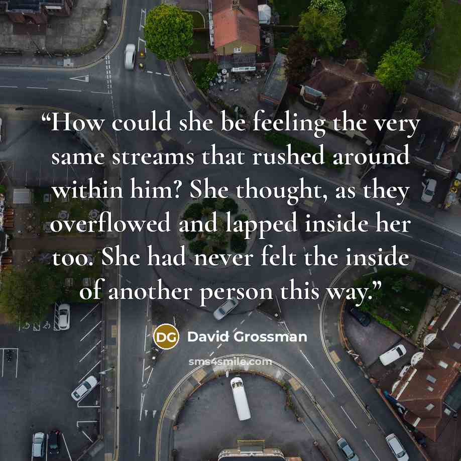 “How could she be feeling the very same streams that rushed around within him? She thought, as they overflowed and lapped inside her too. She had never felt the inside of another person this way.” quote by David Grossman