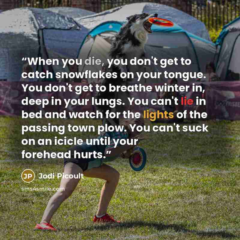 “When you die, you don't get to catch snowflakes on your tongue. You don't get to breathe winter in, deep in your lungs. You can't lie in bed and watch for the lights of the passing town plow. You can't suck on an icicle until your forehead hurts.” quote by Jodi Picoult