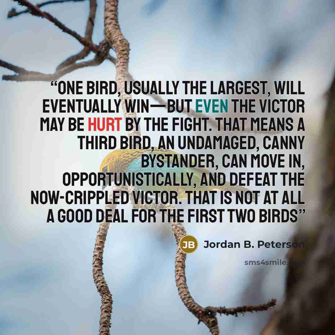 “one bird, usually the largest, will eventually win—but even the victor may be hurt by the fight. That means a third bird, an undamaged, canny bystander, can move in, opportunistically, and defeat the now-crippled victor. That is not at all a good deal for the first two birds” quote by Jordan B. Peterson