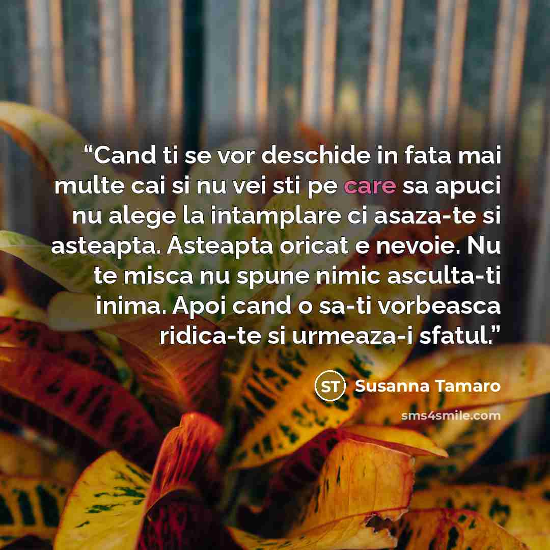 “Cand ti se vor deschide in fata mai multe cai si nu vei sti pe care sa apuci nu alege la intamplare ci asaza-te si asteapta. Asteapta oricat e nevoie. Nu te misca nu spune nimic asculta-ti inima. Apoi cand o sa-ti vorbeasca ridica-te si urmeaza-i sfatul.” quote by Susanna Tamaro