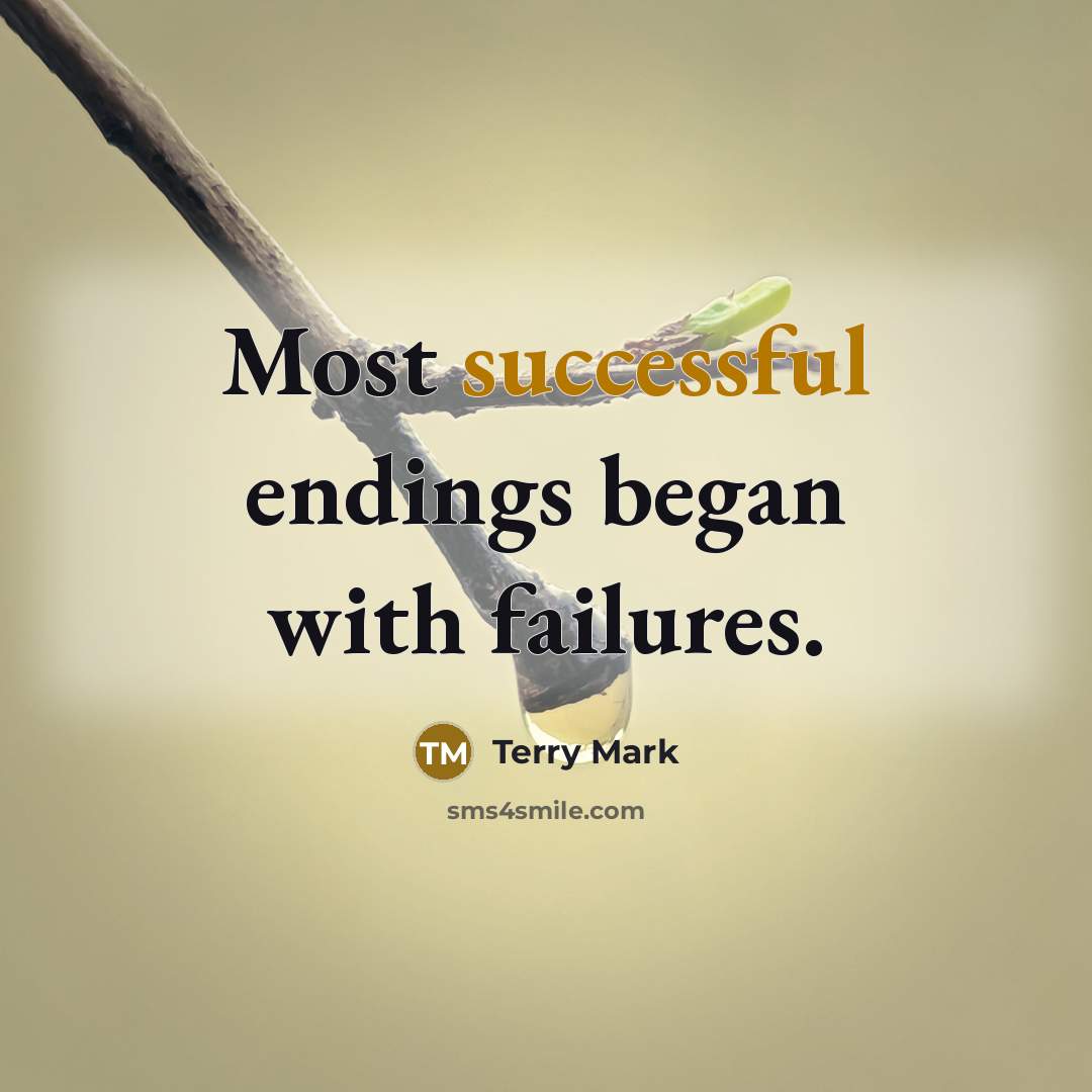 “Most successful endings began with failures.” quote by Terry Mark