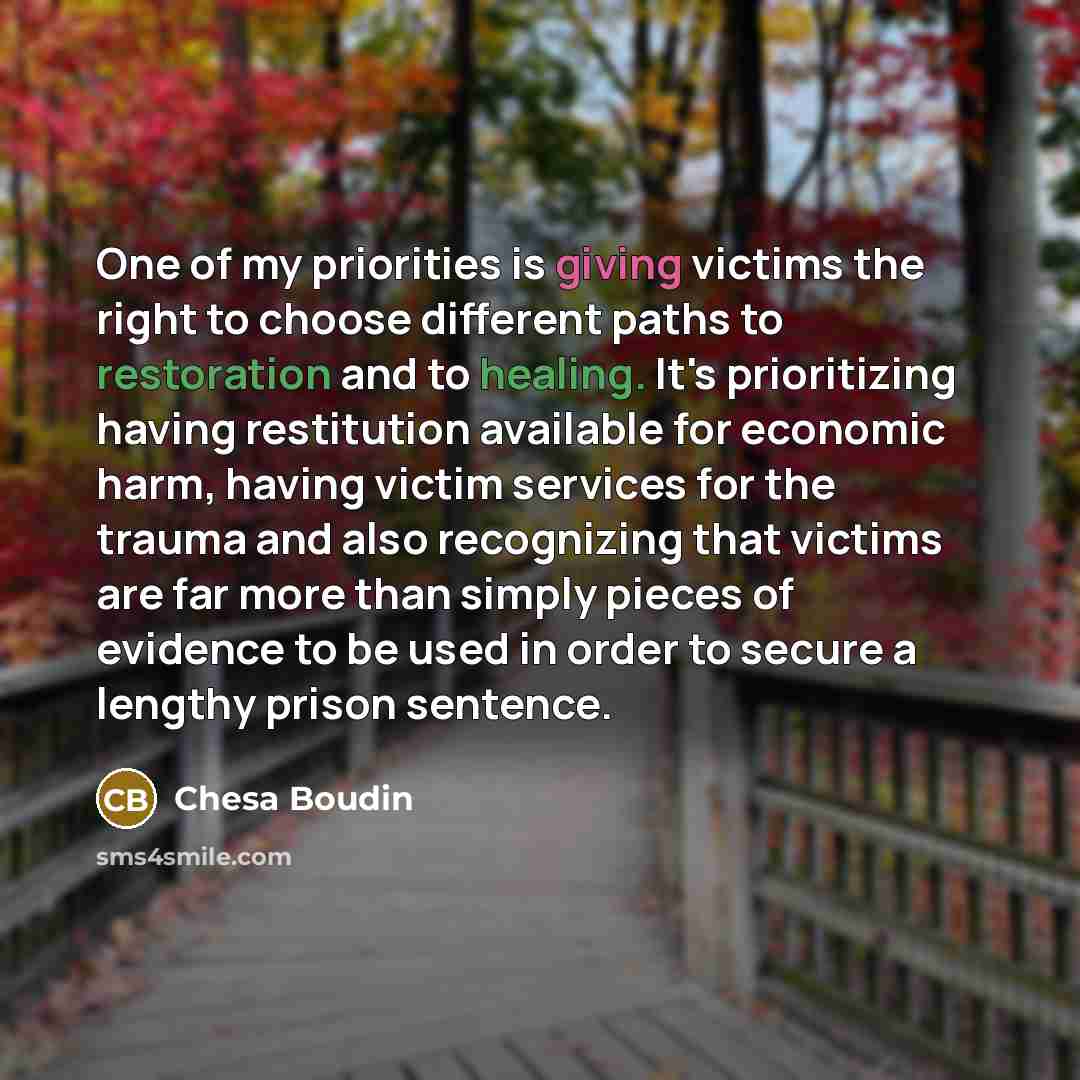 “One of my priorities is giving victims the right to choose different paths to restoration and to healing. It's prioritizing having restitution available for economic harm, having victim services for the trauma and also recognizing that victims are far more than simply pieces of evidence to be used…” quote by Chesa Boudin
