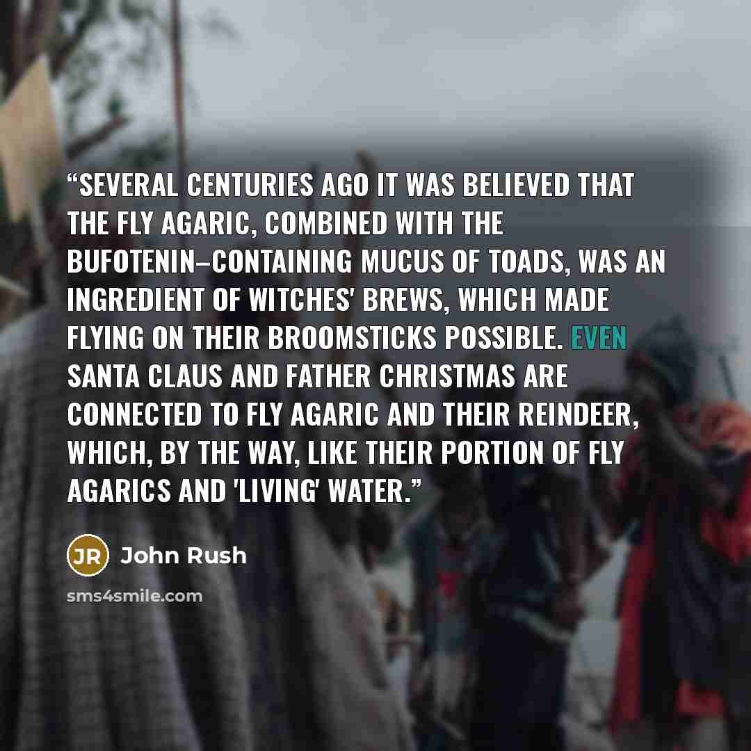“Several centuries ago it was believed that the fly agaric, combined with the bufotenin–containing mucus of toads, was an ingredient of witches' brews, which made flying on their broomsticks possible. Even Santa Claus and Father Christmas are connected to Fly Agaric and their reindeer, which, by…” quote by John Rush