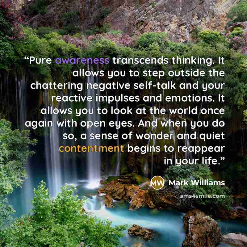 “Pure awareness transcends thinking. It allows you to step outside the chattering negative self-talk and your reactive impulses and emotions. It allows you to look at the world once again with open eyes. And when you do so, a sense of wonder and quiet contentment begins to reappear in your life.” quote by Mark Williams