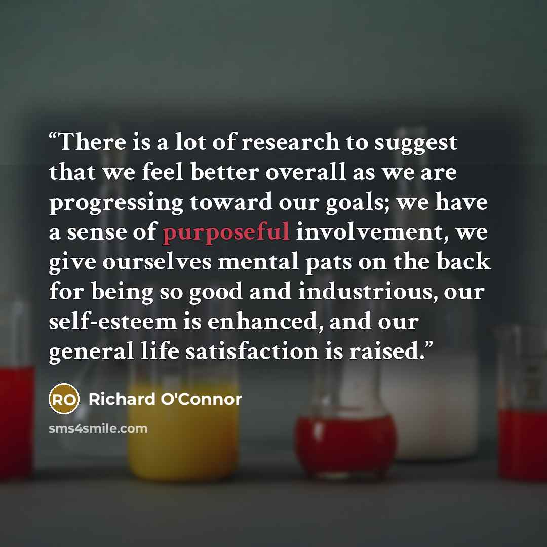 “There is a lot of research to suggest that we feel better overall as we are progressing toward our goals; we have a sense of purposeful involvement, we give ourselves mental pats on the back for being so good and industrious, our self-esteem is enhanced, and our general life satisfaction is raised.” quote by Richard O'Connor