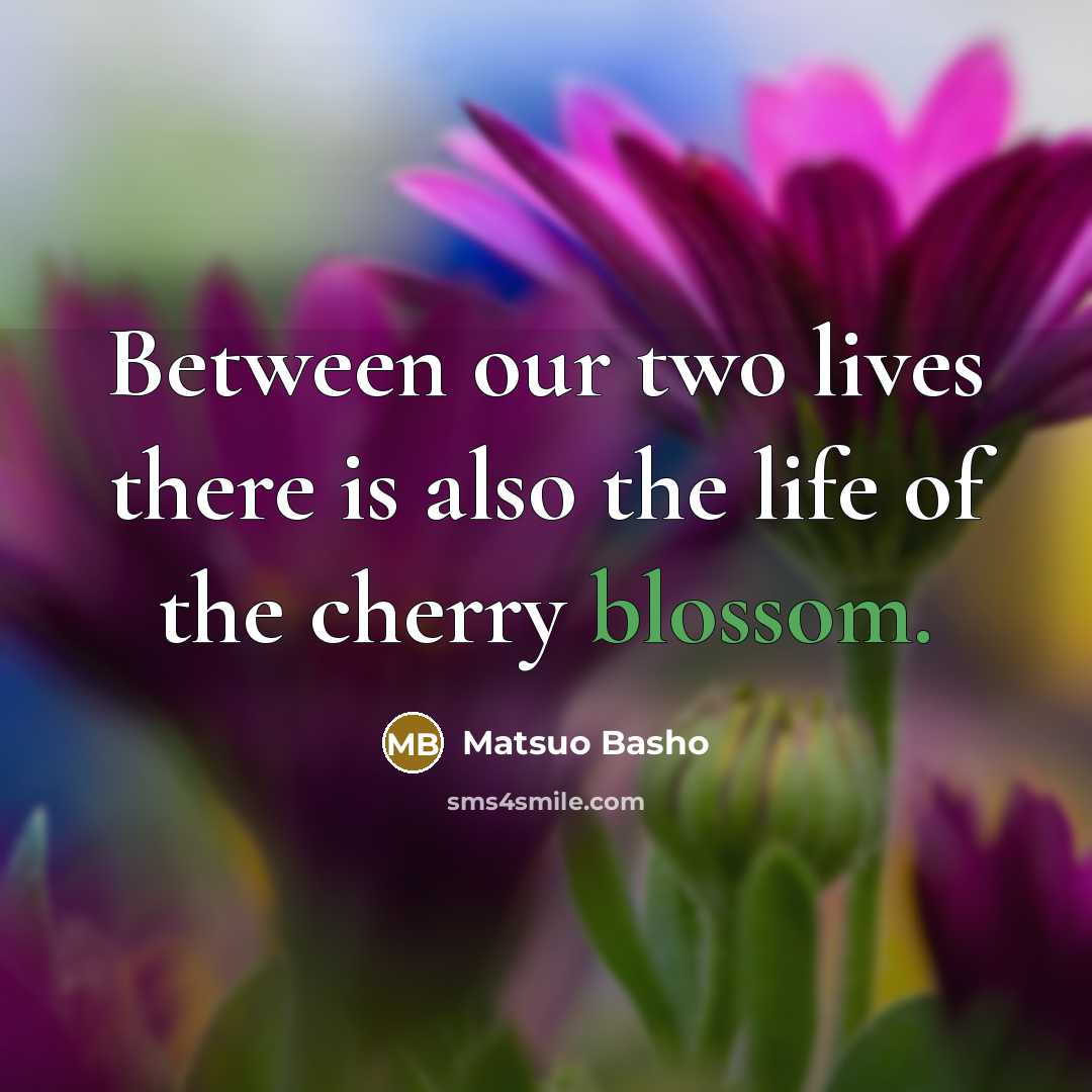 “Between our two lives there is also the life of the cherry blossom.” quote by Matsuo Basho