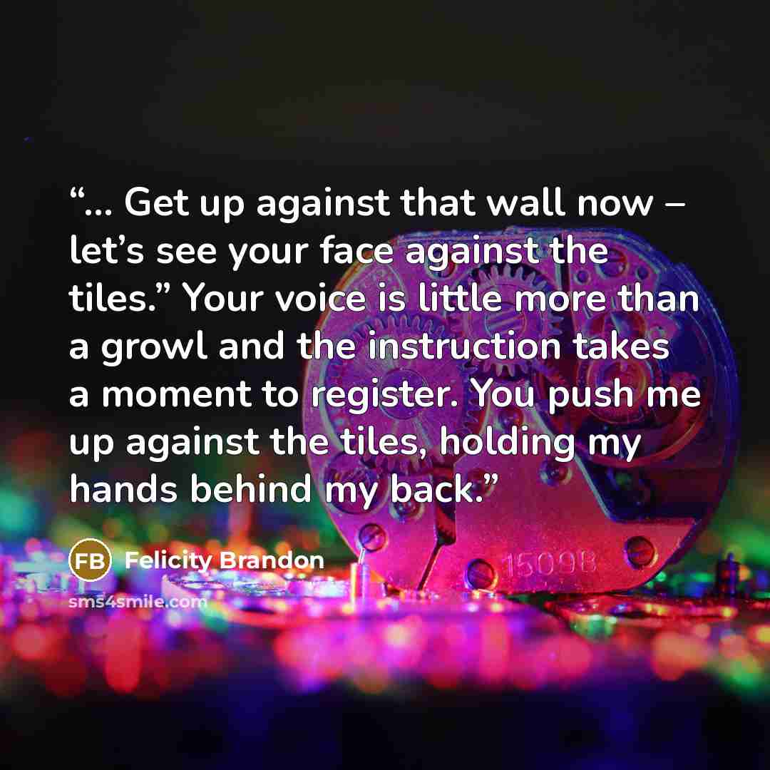 “… Get up against that wall now – let’s see your face against the tiles.” Your voice is little more than a growl and the instruction takes a moment to register. You push me up against the tiles, holding my hands behind my back.” quote by Felicity Brandon