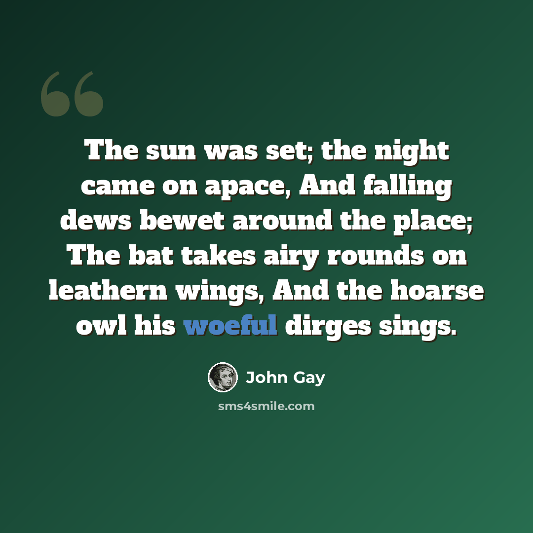 “The sun was set; the night came on apace, And falling dews bewet around the place; The bat takes airy rounds on leathern wings, And the hoarse owl his woeful dirges sings.” quote by John Gay