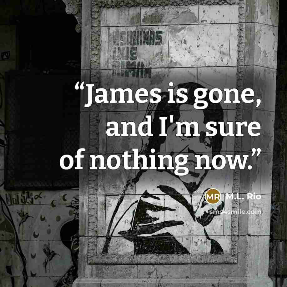 “James is gone, and I'm sure of nothing now.” quote by M.L. Rio