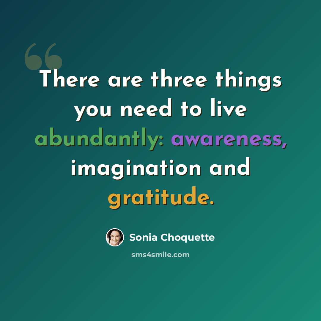 “There are three things you need to live abundantly: awareness, imagination and gratitude.” quote by Sonia Choquette