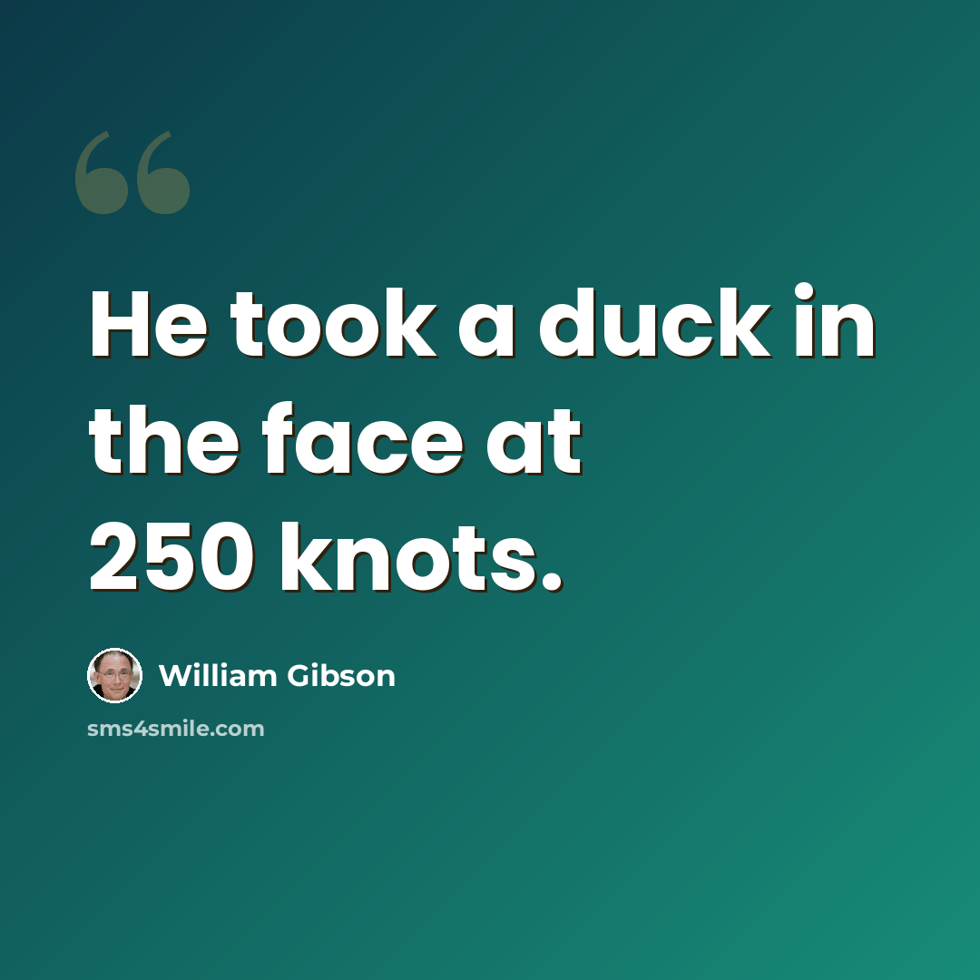 “He took a duck in the face at 250 knots.” quote by William Gibson