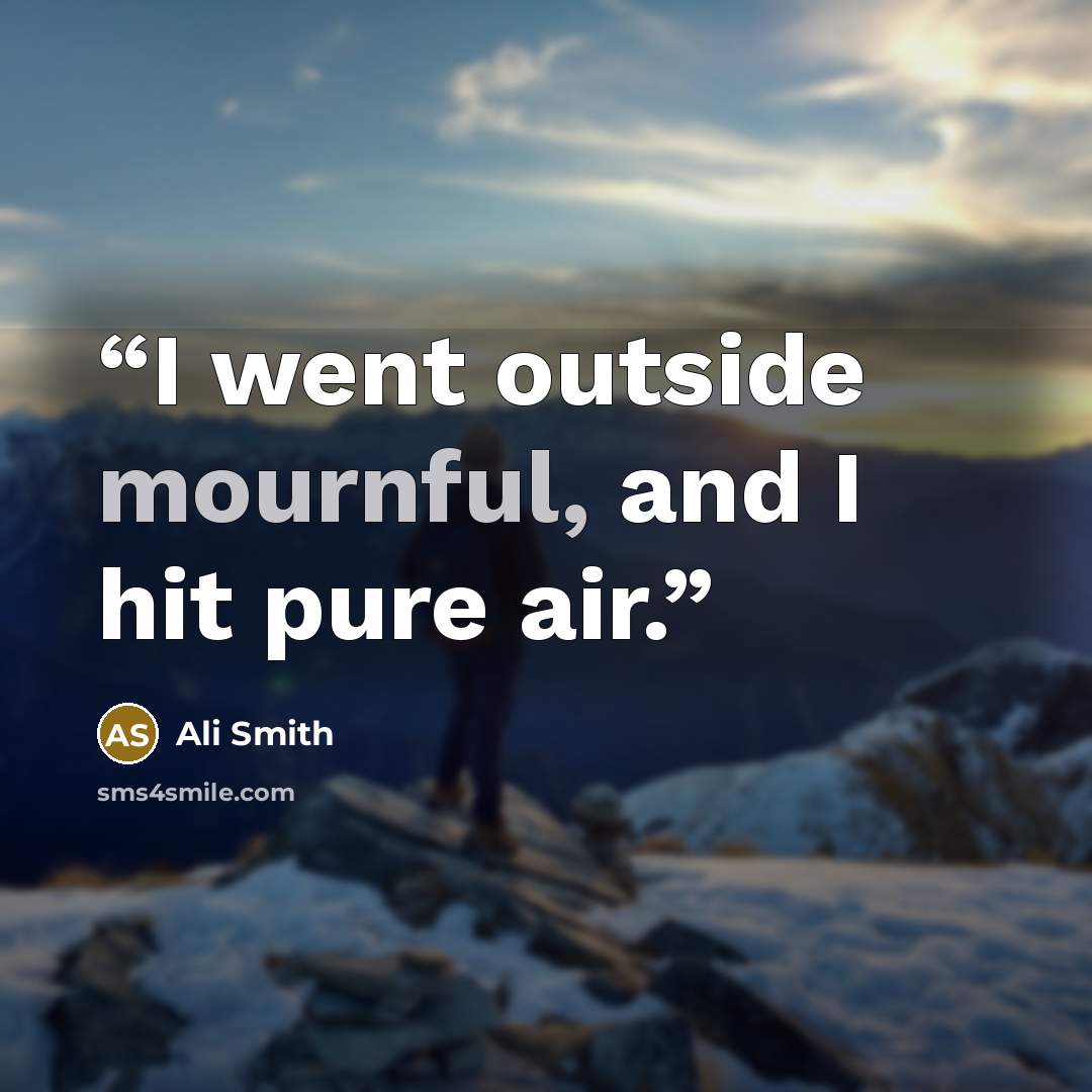“I went outside mournful, and I hit pure air.” quote by Ali Smith