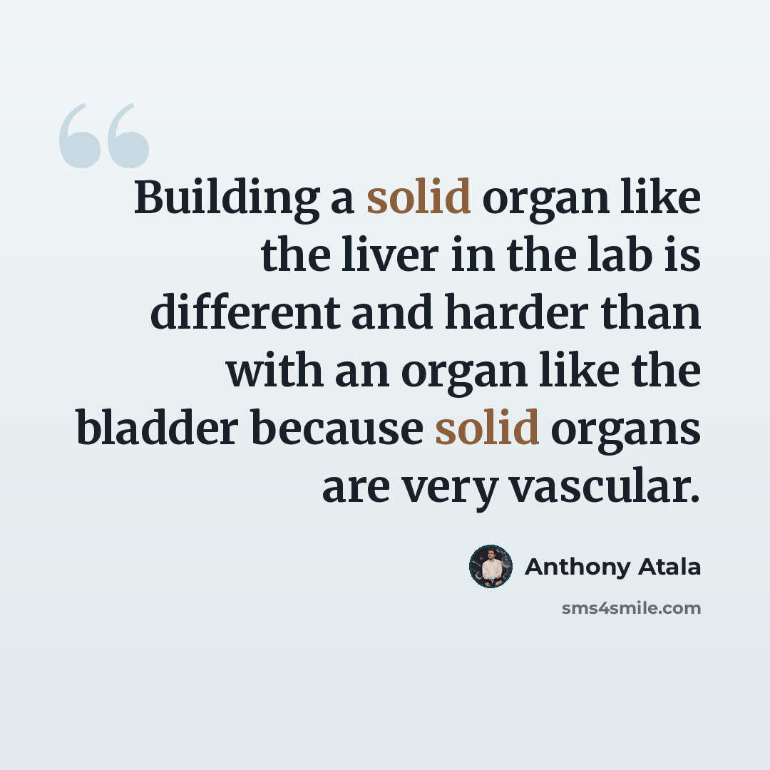 “Building a solid organ like the liver in the lab is different and harder than with an organ like the bladder because solid organs are very vascular.” quote by Anthony Atala