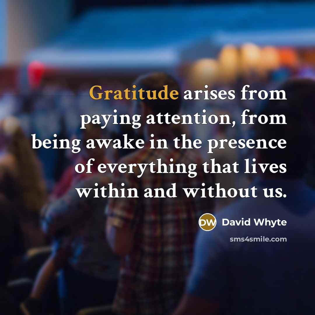 “Gratitude arises from paying attention, from being awake in the presence of everything that lives within and without us.” quote by David Whyte