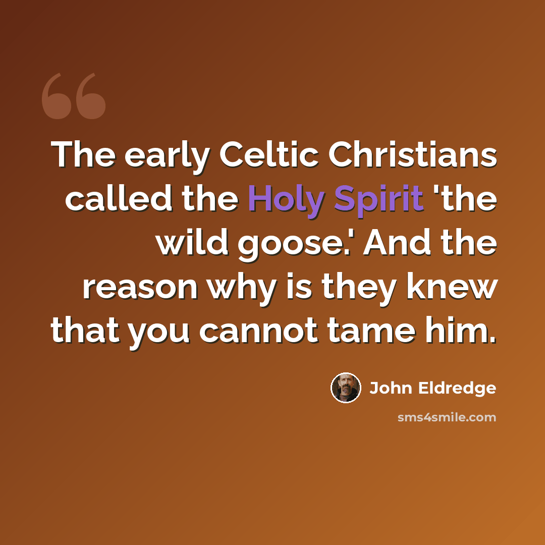 “The early Celtic Christians called the Holy Spirit 'the wild goose.' And the reason why is they knew that you cannot tame him.” quote by John Eldredge