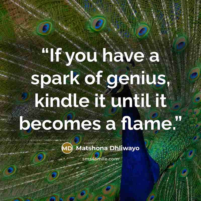 “If you have a spark of genius, kindle it until it becomes a flame.” quote by Matshona Dhliwayo