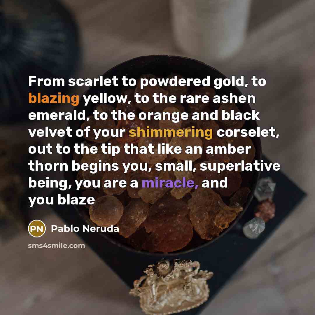 “From scarlet to powdered gold, to blazing yellow, to the rare ashen emerald, to the orange and black velvet of your shimmering corselet, out to the tip that like an amber thorn begins you, small, superlative being, you are a miracle, and you blaze” quote by Pablo Neruda
