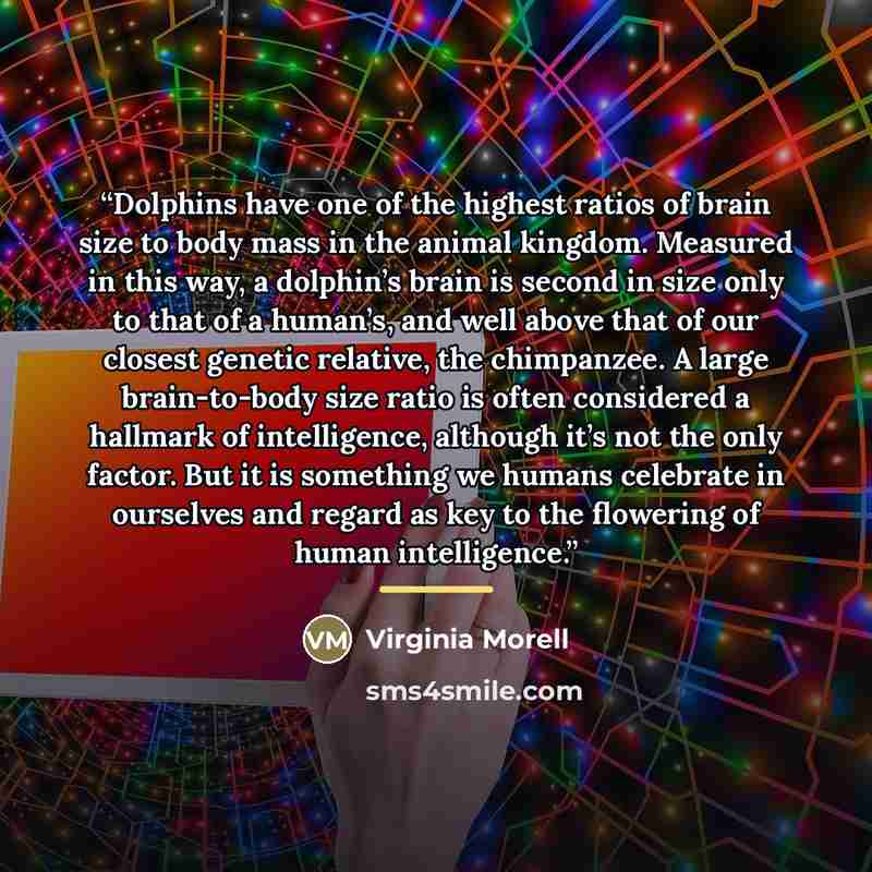 “Dolphins have one of the highest ratios of brain size to body mass in the animal kingdom. Measured in this way, a dolphin’s brain is second in size only to that of a human’s, and well above that of our closest genetic relative, the chimpanzee. A large brain-to-body size ratio is often considered a…” quote by Virginia Morell