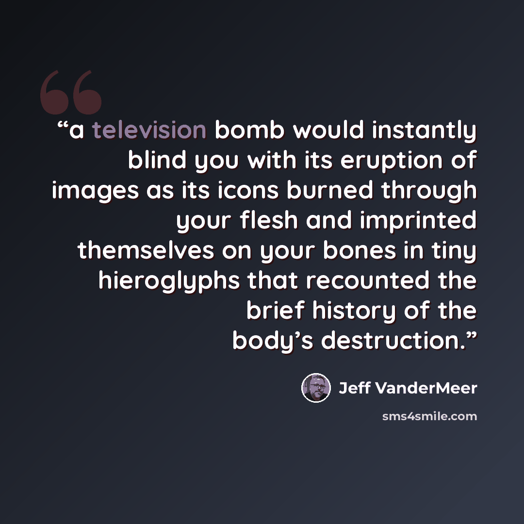 “a television bomb would instantly blind you with its eruption of images as its icons burned through your flesh and imprinted themselves on your bones in tiny hieroglyphs that recounted the brief history of the body’s destruction.” quote by Jeff VanderMeer