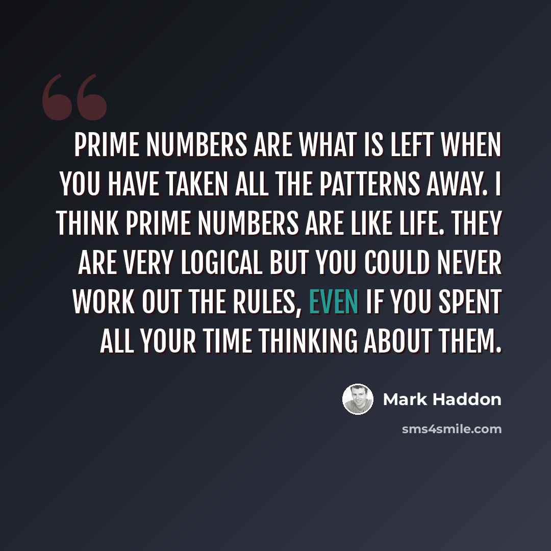 “Prime numbers are what is left when you have taken all the patterns away. I think prime numbers are like life. They are very logical but you could never work out the rules, even if you spent all your time thinking about them.” quote by Mark Haddon